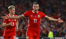 开云体育-欧预赛：看球不只为赛，更是一种情怀