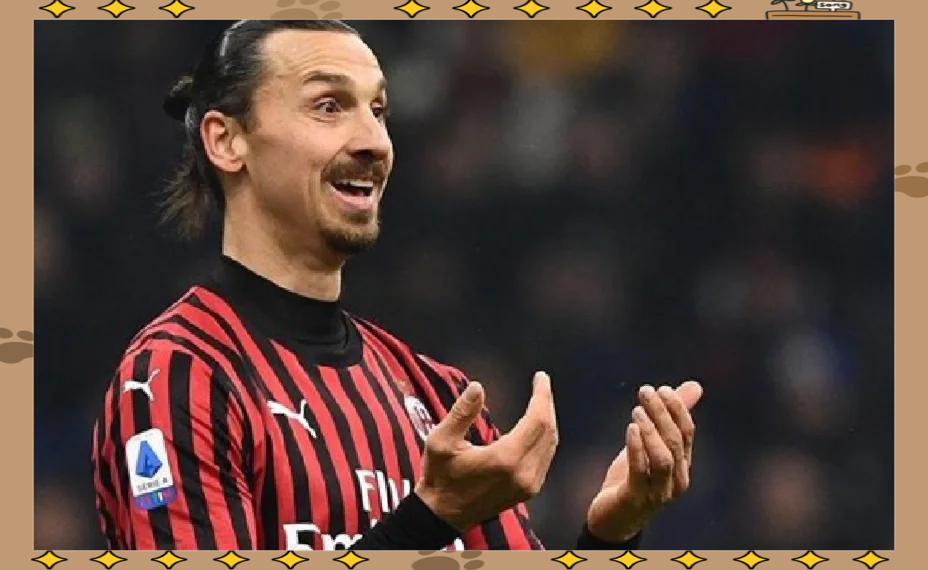 佛罗伦萨主场未能取胜,遭遇意外失利 佛罗伦萨主场未能取胜,遭遇意外失利