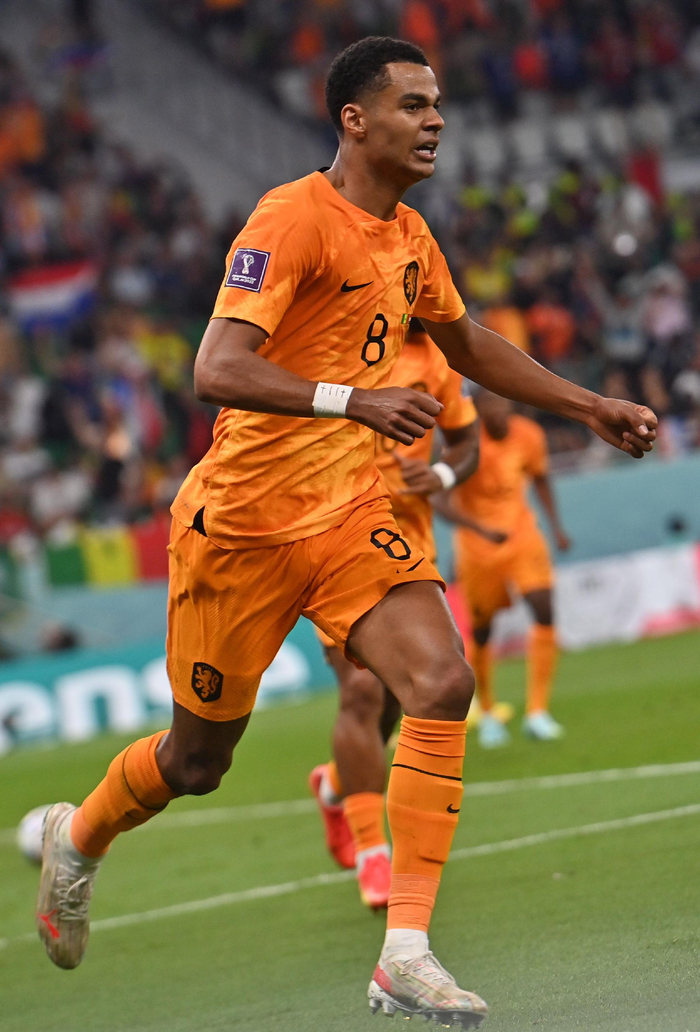 关于塞内加尔完胜荷兰，奥亚尔萨瓦尔状态火热的信息