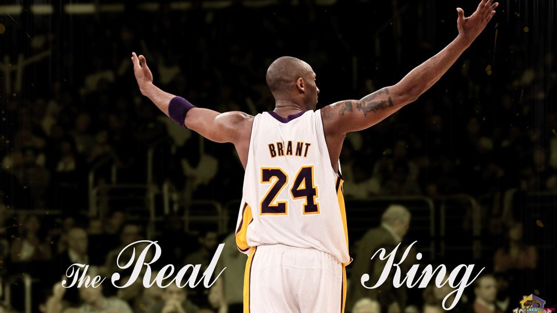 篮网翻盘太阳，保罗在布鲁克林的午夜指挥一曲逆转交响乐