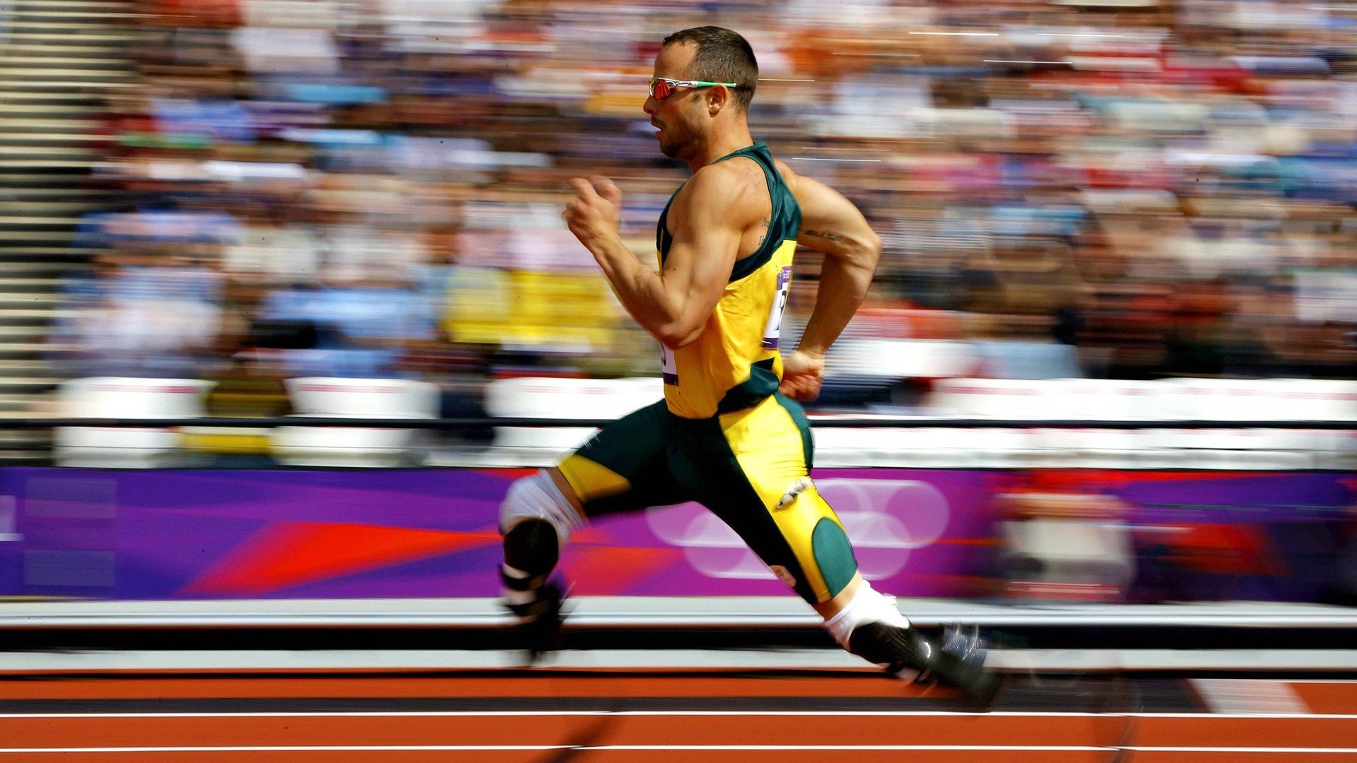 黑夜与晨光,兹维列夫的法网泪痕与美网重生